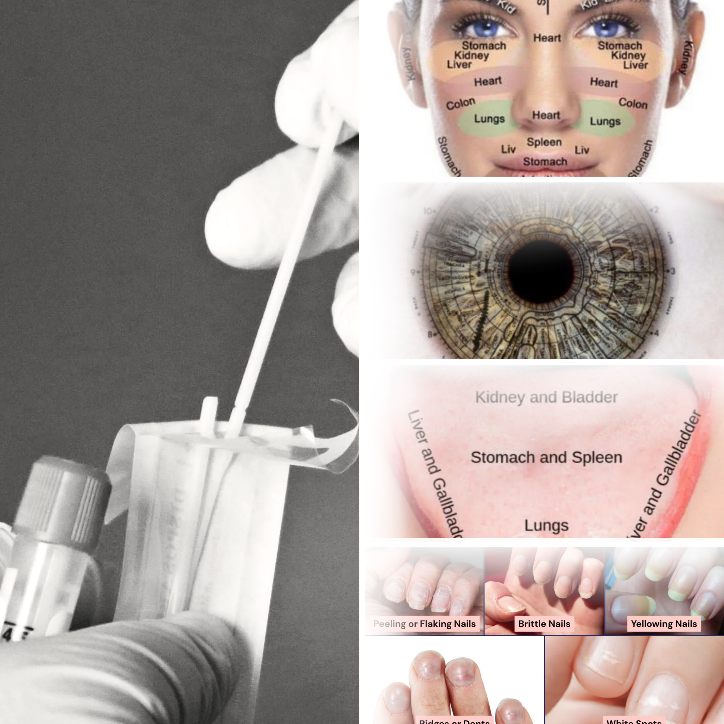 Untitled design-12.png