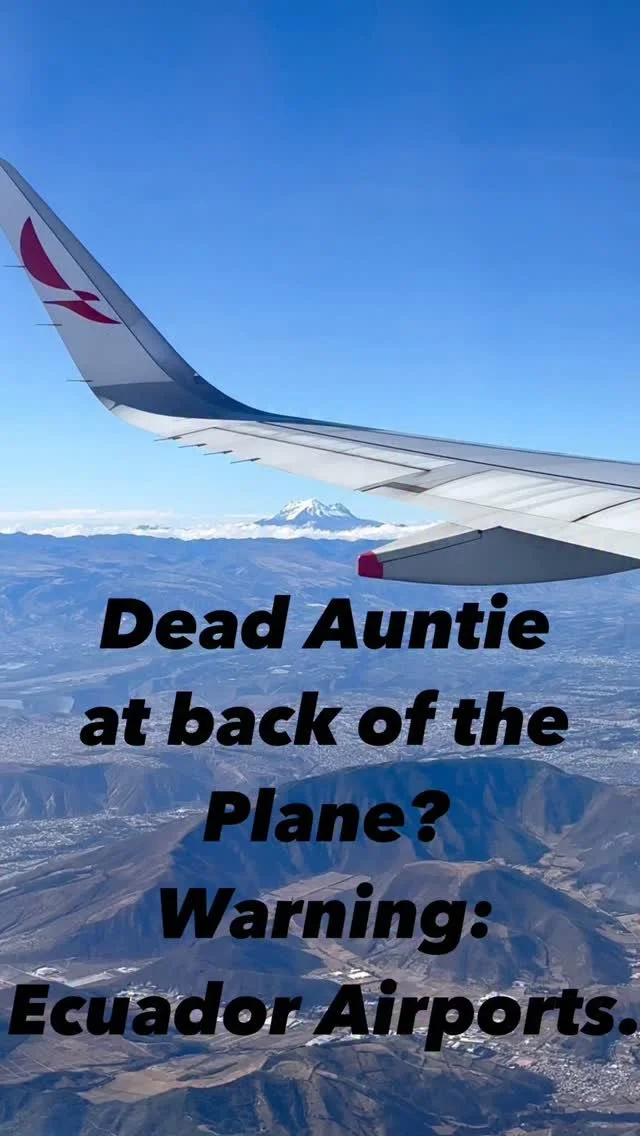 Dead Auntie at the Back of the Plane