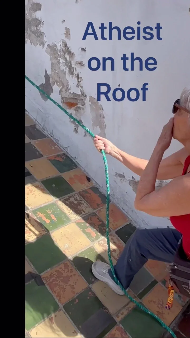 On the Rooftop