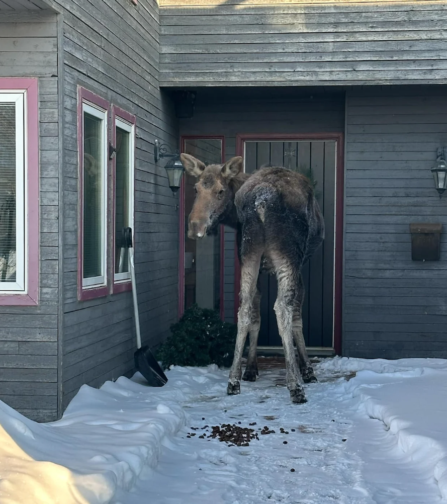 Lessons from the Doorsteps: What unites and divides Yukoners?