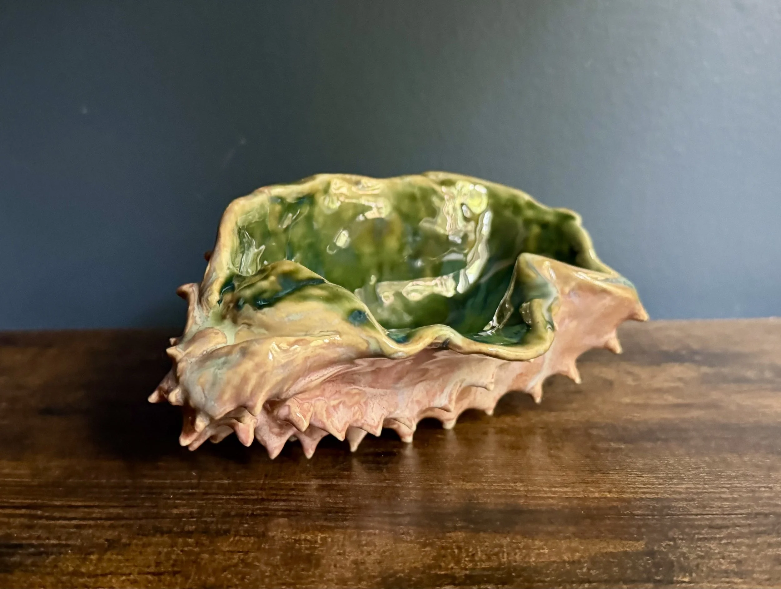 Green and Pink Seashell