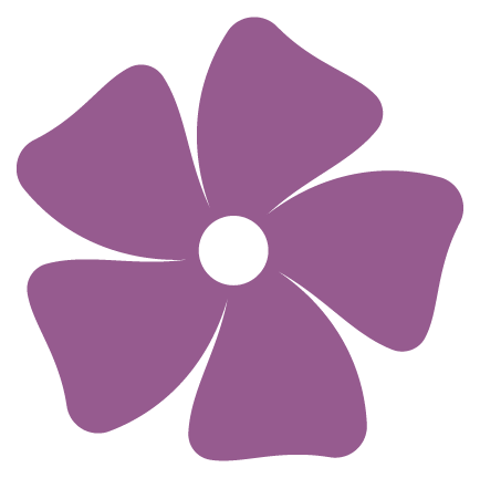 Purple flower with five petals and a white center