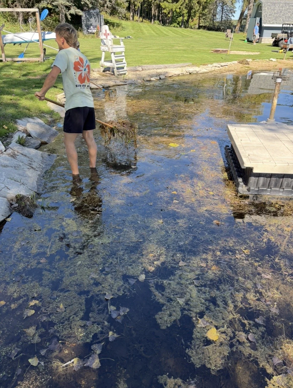 Aquatic weed cutting along a Wisconsin lake shoreline