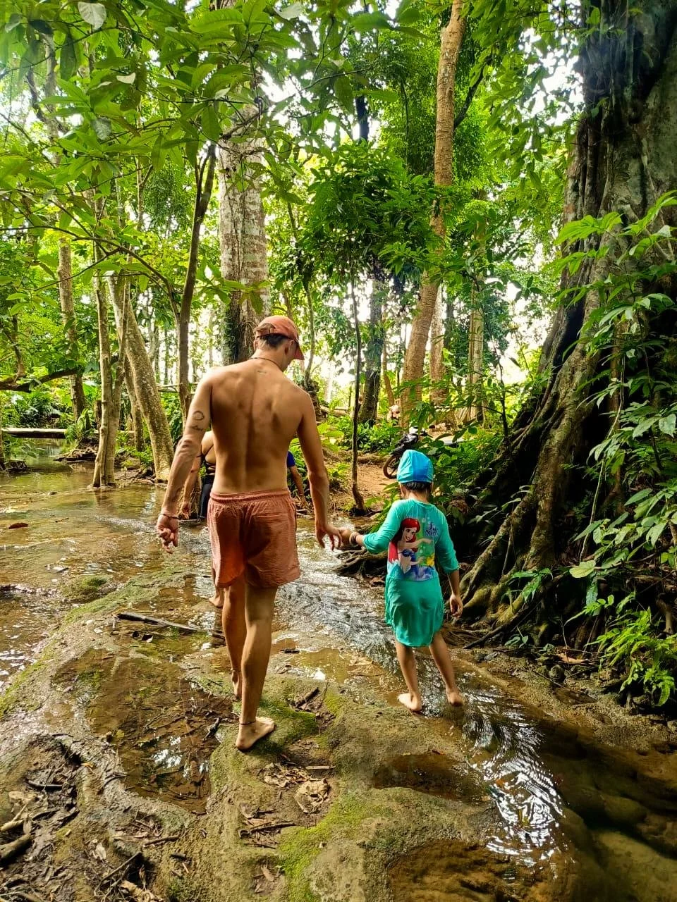 WhatsApp Image 2025-12-08 at 09:31:49.jpeg