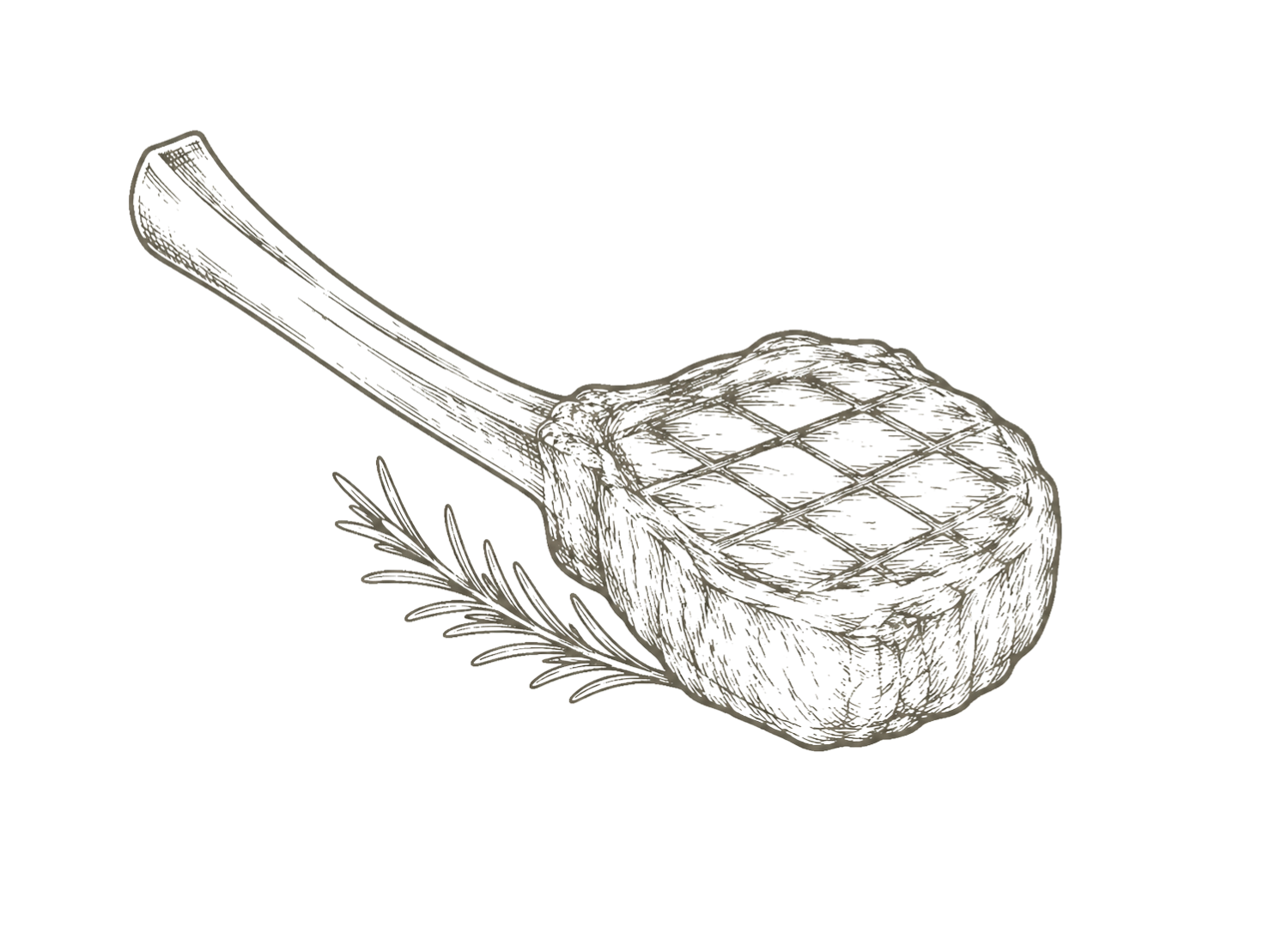 Line drawing of a tomahawk steak with a sprig of rosemary.