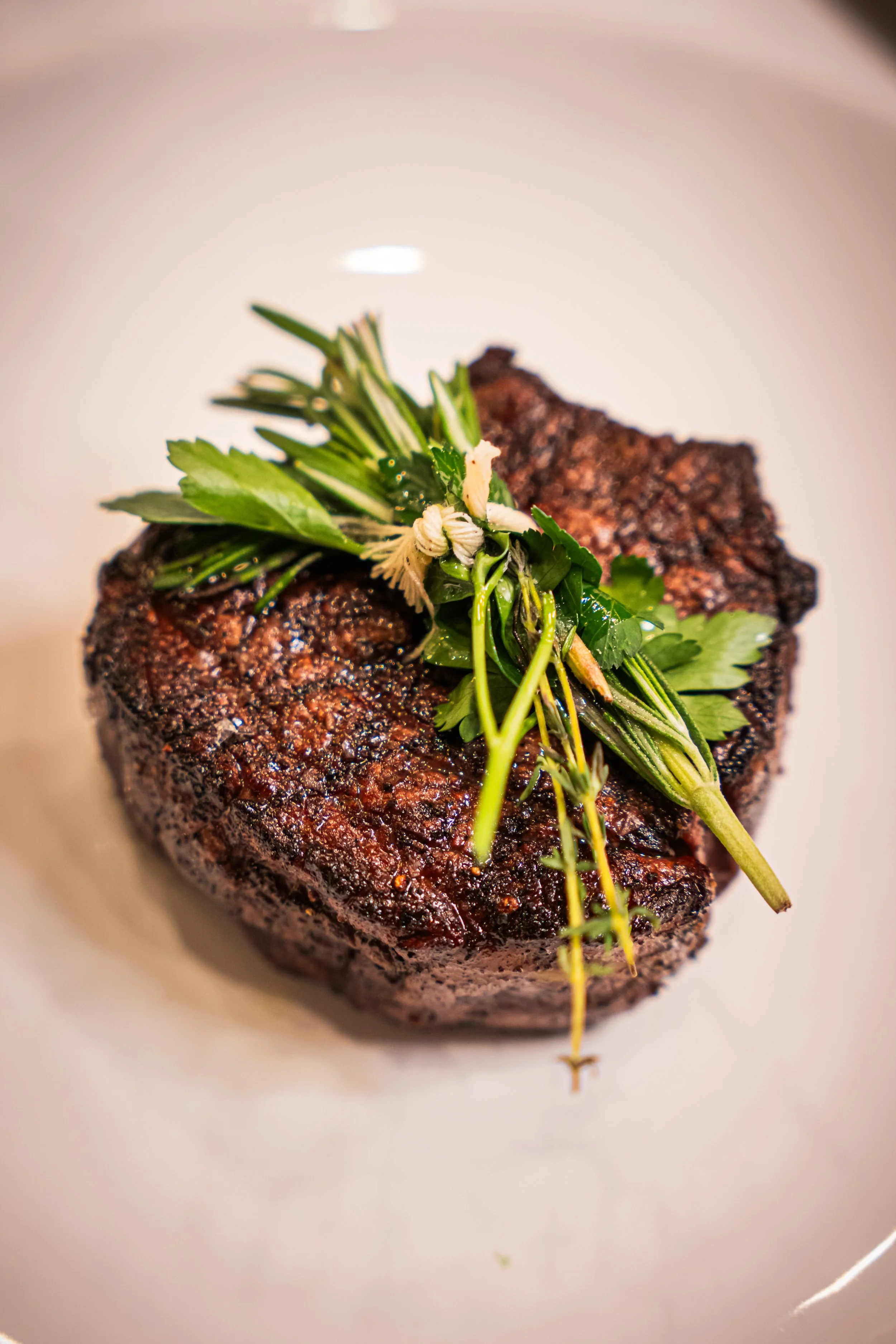 Close-up of a grilled steak topped with fresh herbs, including rosemary and parsley, inside a white bowl.