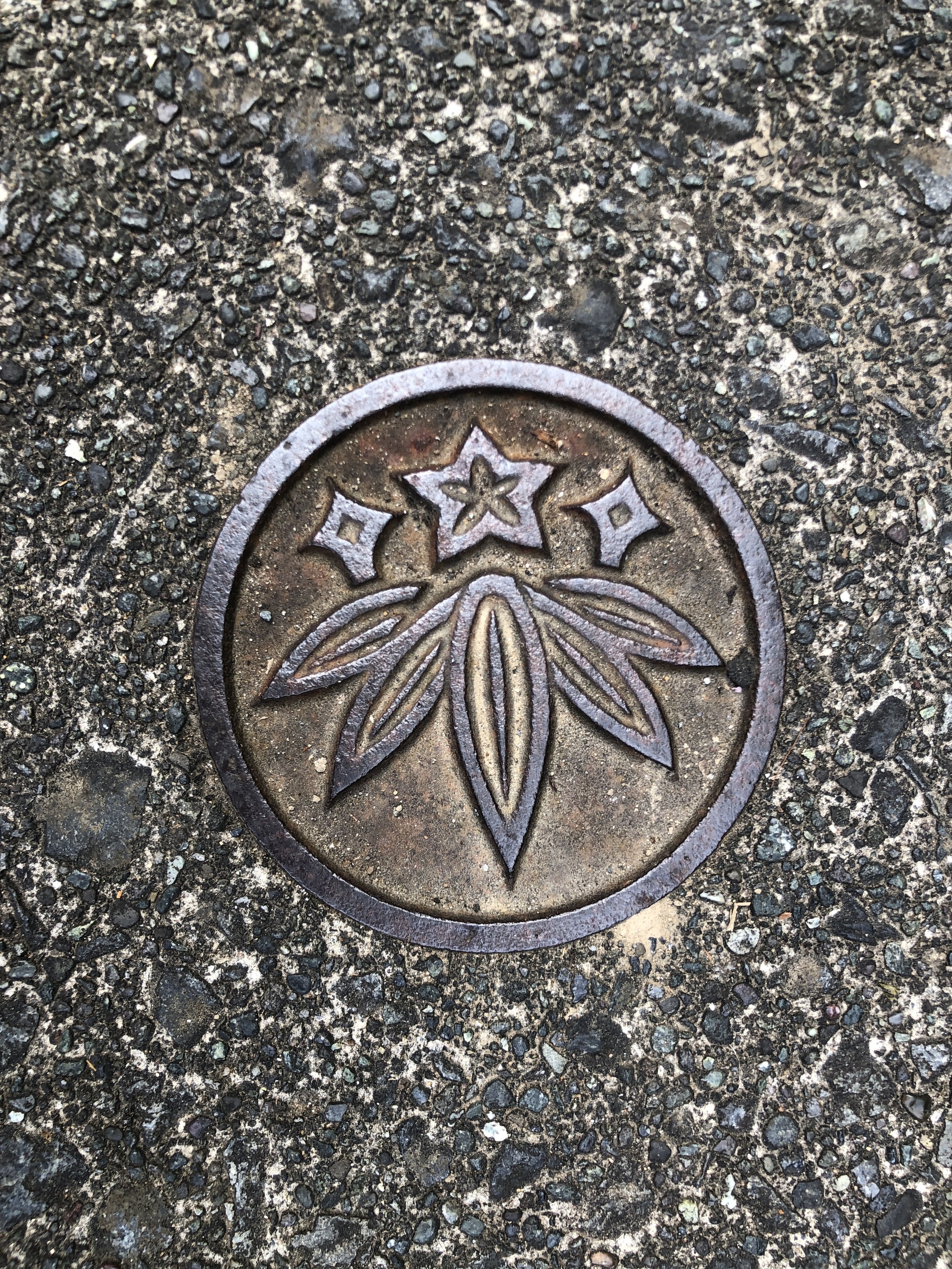 kamakura city gentian