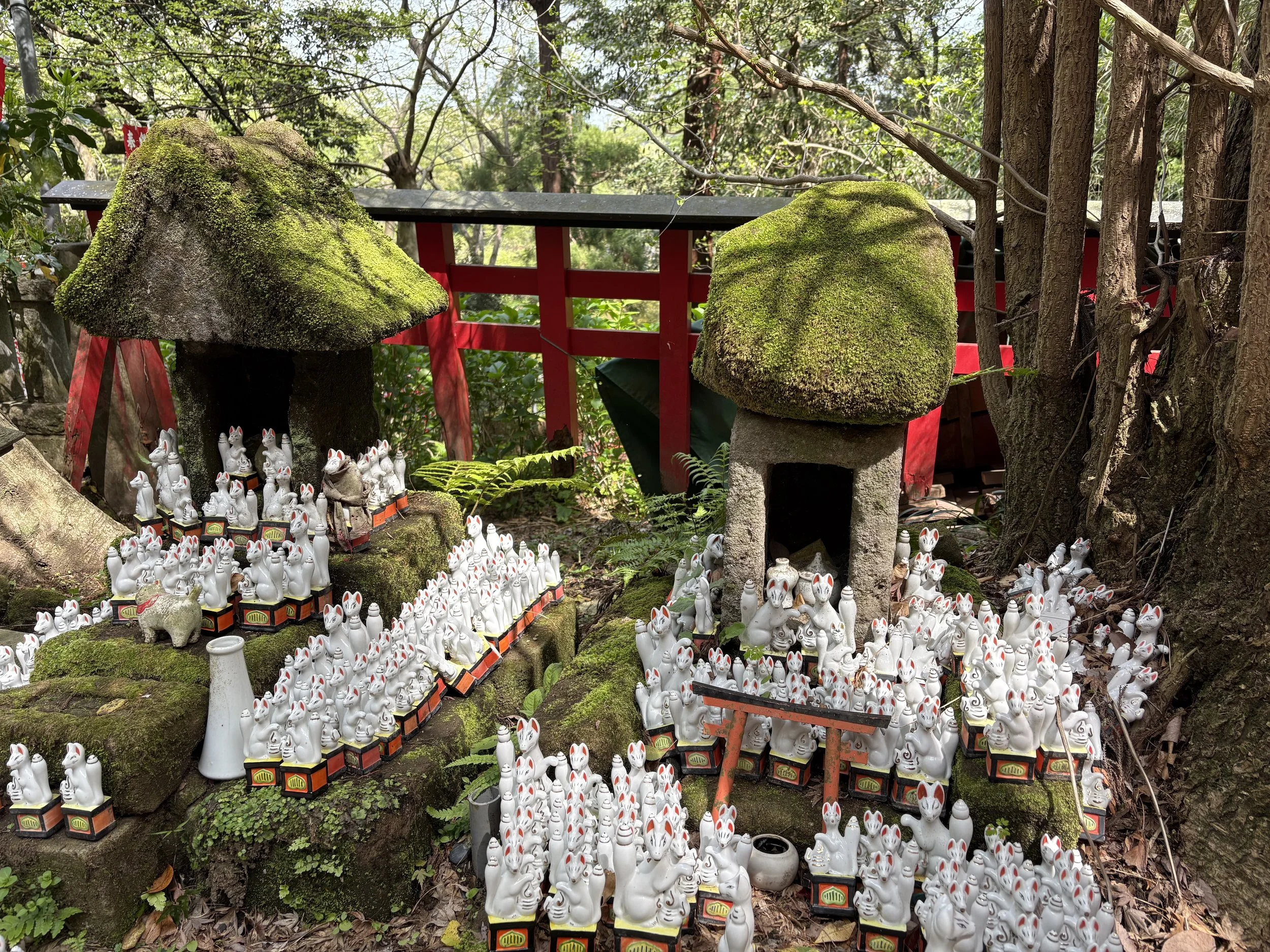 fox shrine