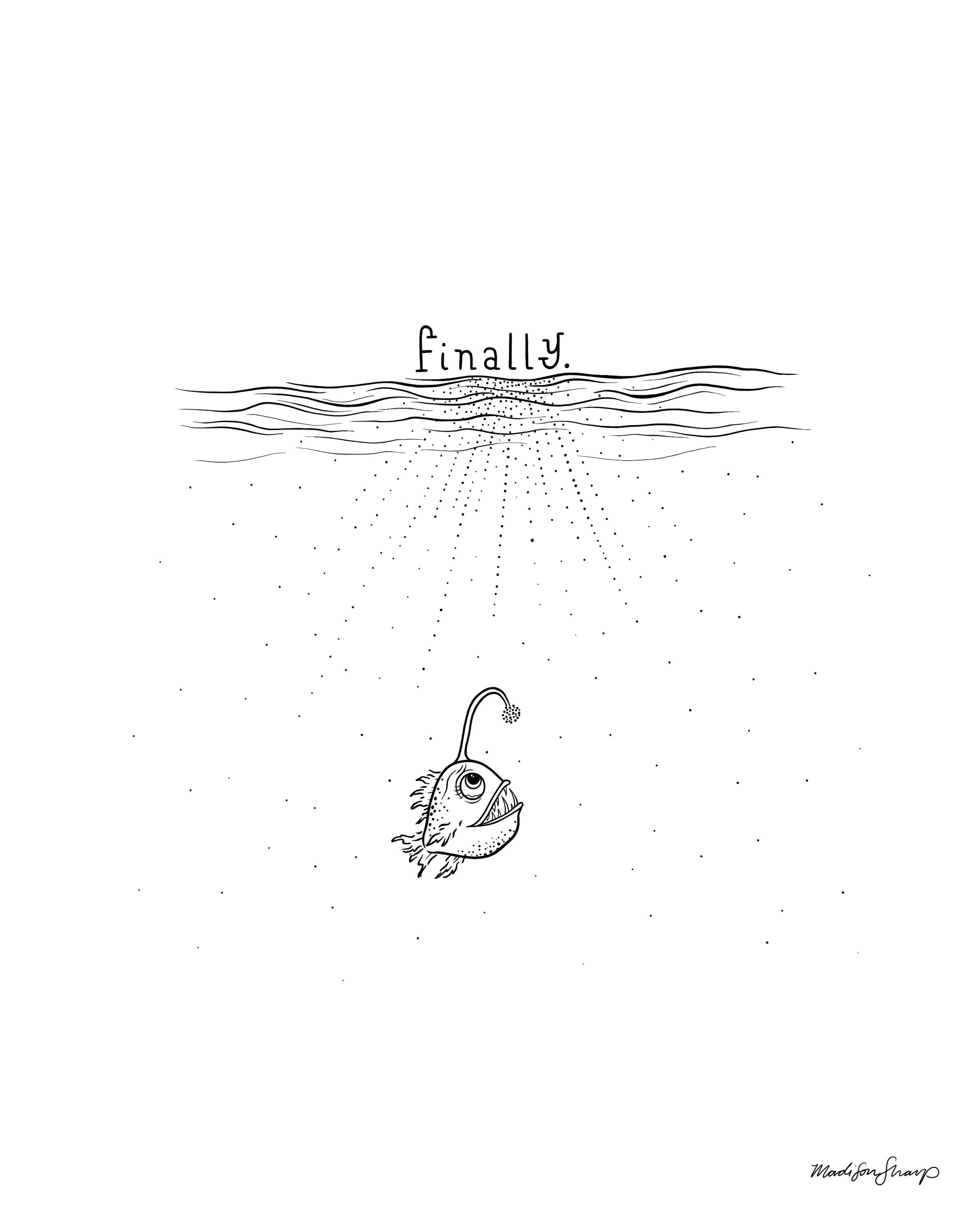 "Anglerfish" featured in The New York Times