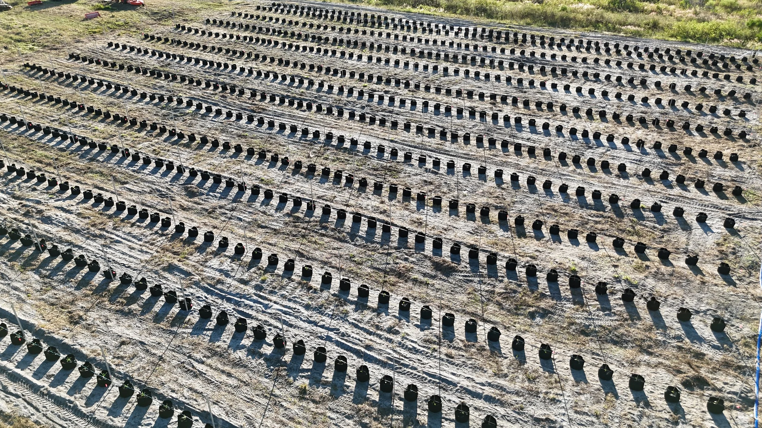 We are up and running!