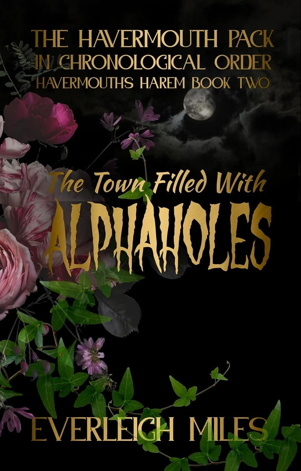 The Town Filled With Alphaholes (Havermouth's Harem #2)