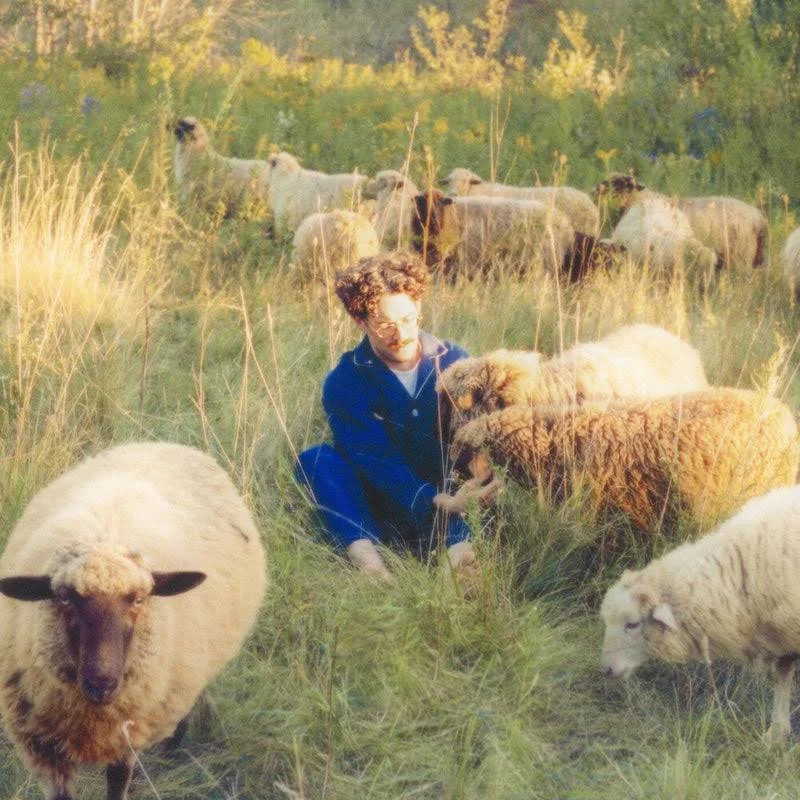 Resavoir - Themes for Dreams (2025)  viola, string arrangment 