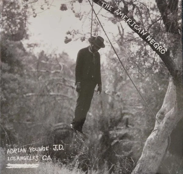 Adrian Younge - American Negro (2021)  viola 