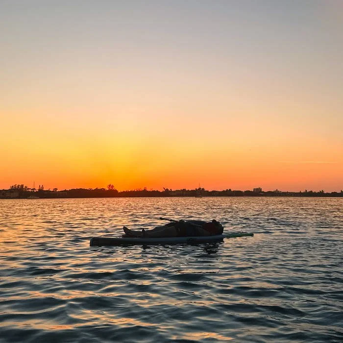 Disclosure - The Sun Comes Up Tremendous (2026)  viola 