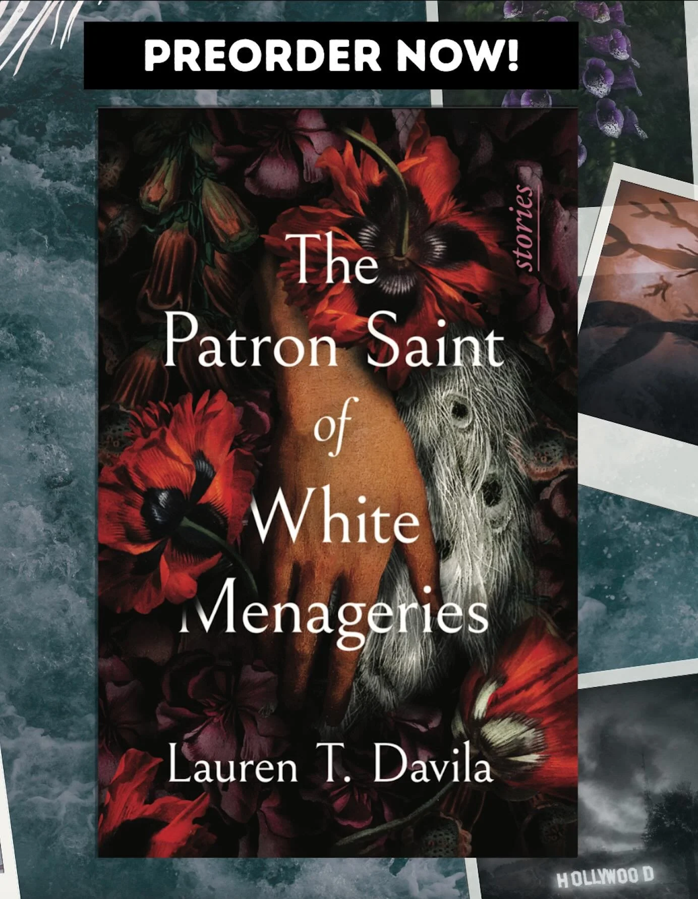 My debut short story collection, THE PATRON SAINT OF WHITE MENAGERIES, is officially available for preorder.

These stories have lived with me for years. They are set in Southern California and live in the space in between fantasy, magical realism, a