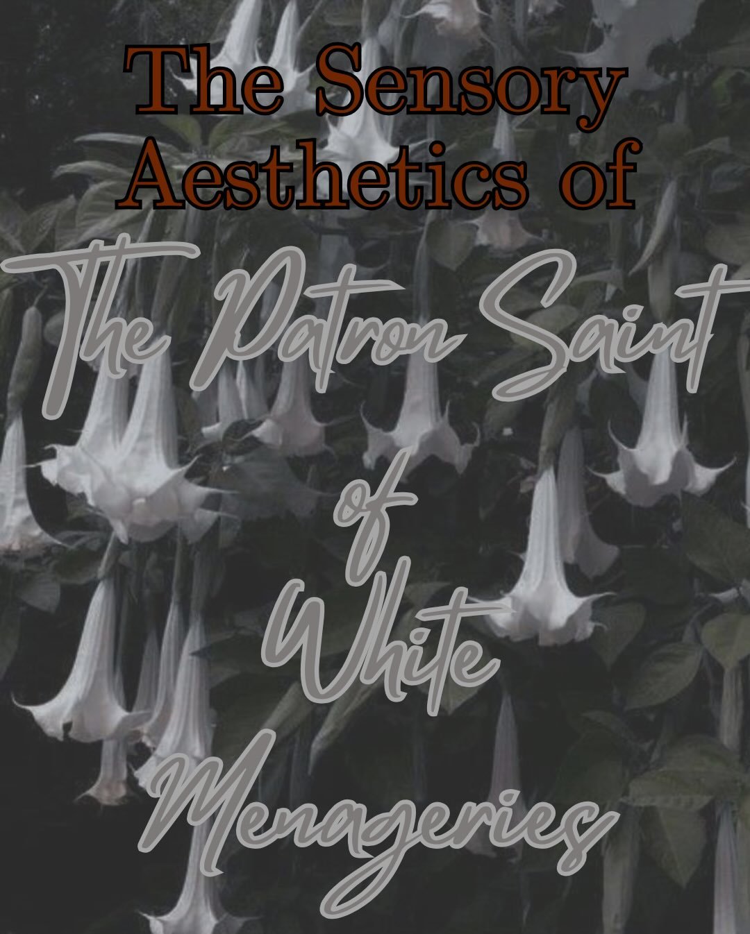 Did someone ask for a sensory overload? Here is an exploration of the aesthetics present in my debut THE PATRON SAINT OF WHITE MENAGERIES, forthcoming from @creaturepublishing on September 1, 2026! Preorder using the link in my bio!