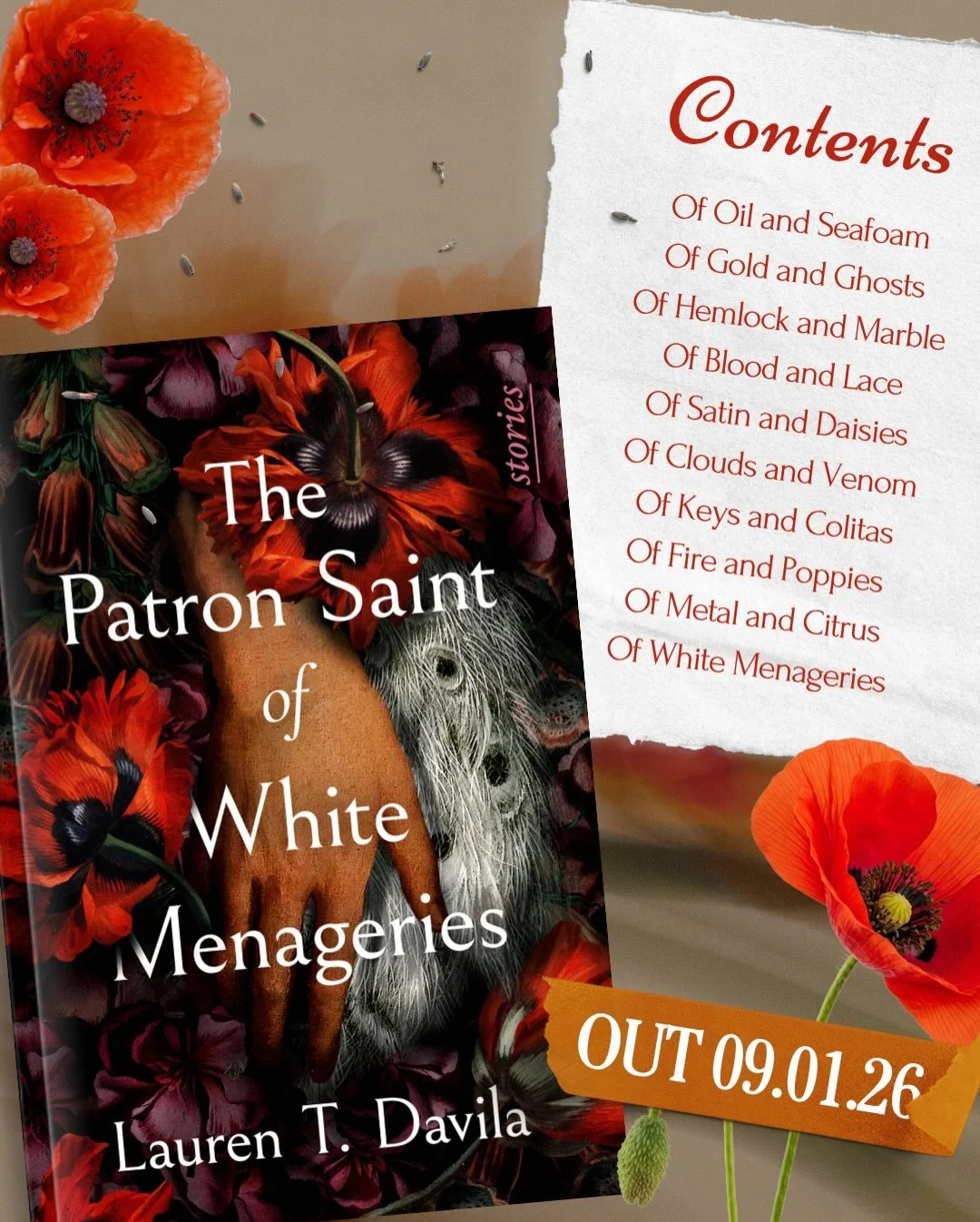 ✨ TABLE OF CONTENTS REVEAL ✨

In these short stories, daughters search for missing mothers off the coast of California. Greek prophets make unlikely friends. Ghosts linger in old mansions. Throughout, women navigate dangerous bargains, impossible cho