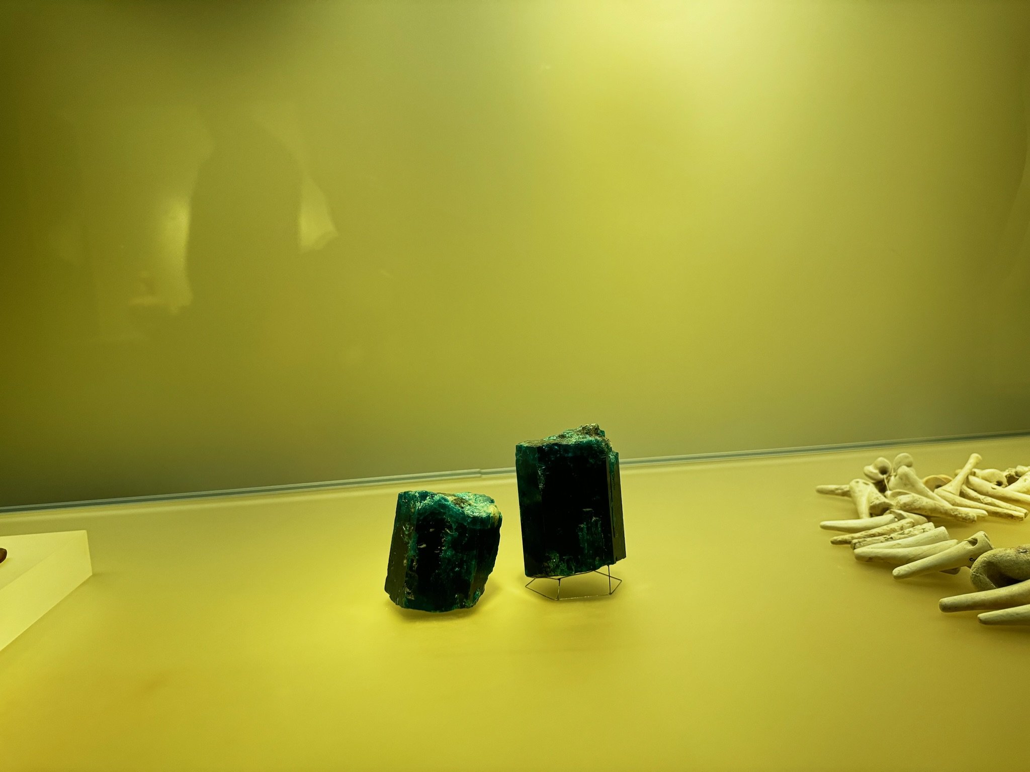IMG_3002.jpeg