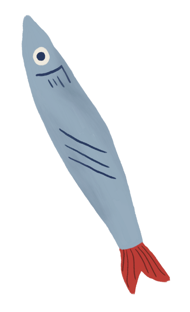 Drawing of a cartoon fish with a blue body, red tail, and a single large eye.