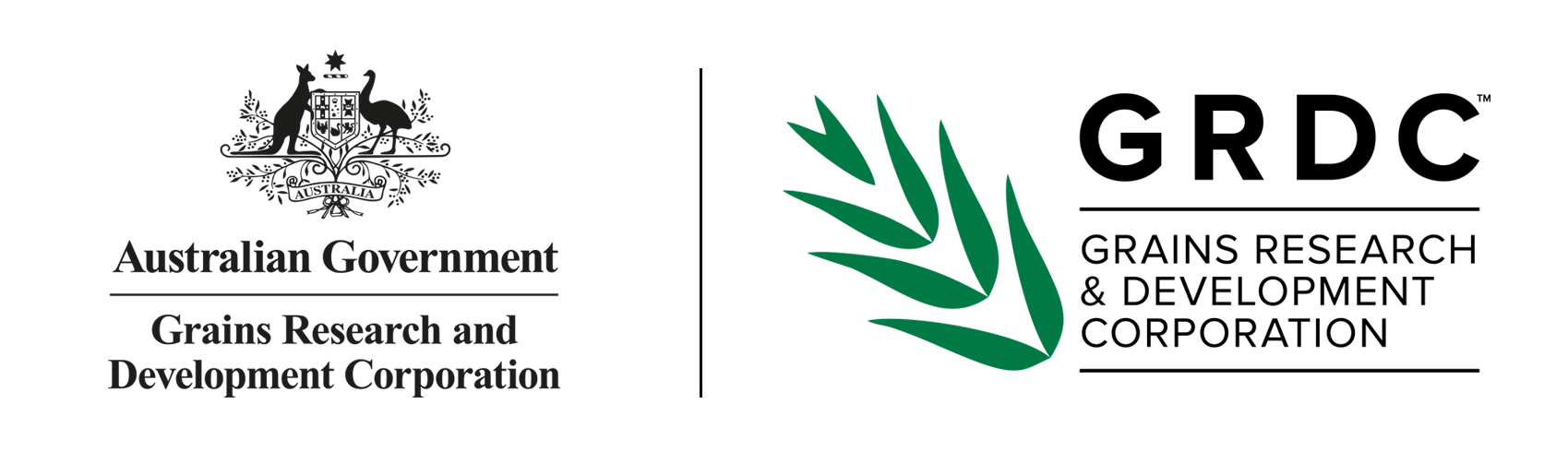 Digital61 Cyber Solutions_GRDC.png