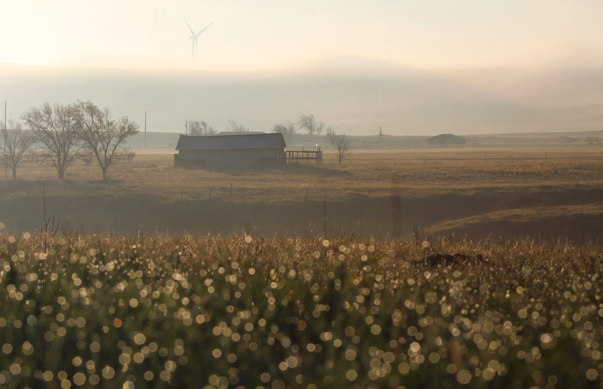 foggy morning.jpg