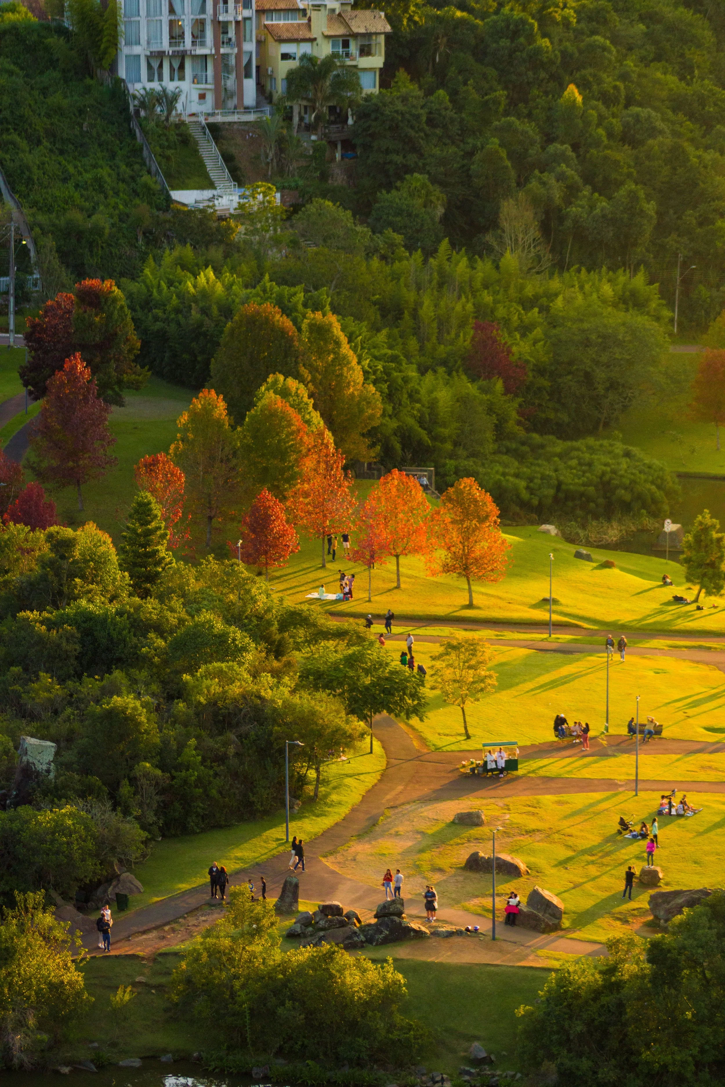 A park with green grass, trees with autumn foliage, and walking paths. Several people are walking, sitting on benches, and enjoying the area. Residential buildings are visible on a hillside in the background, surrounded by dense trees.