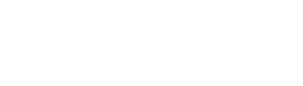 CAL IT GUY
