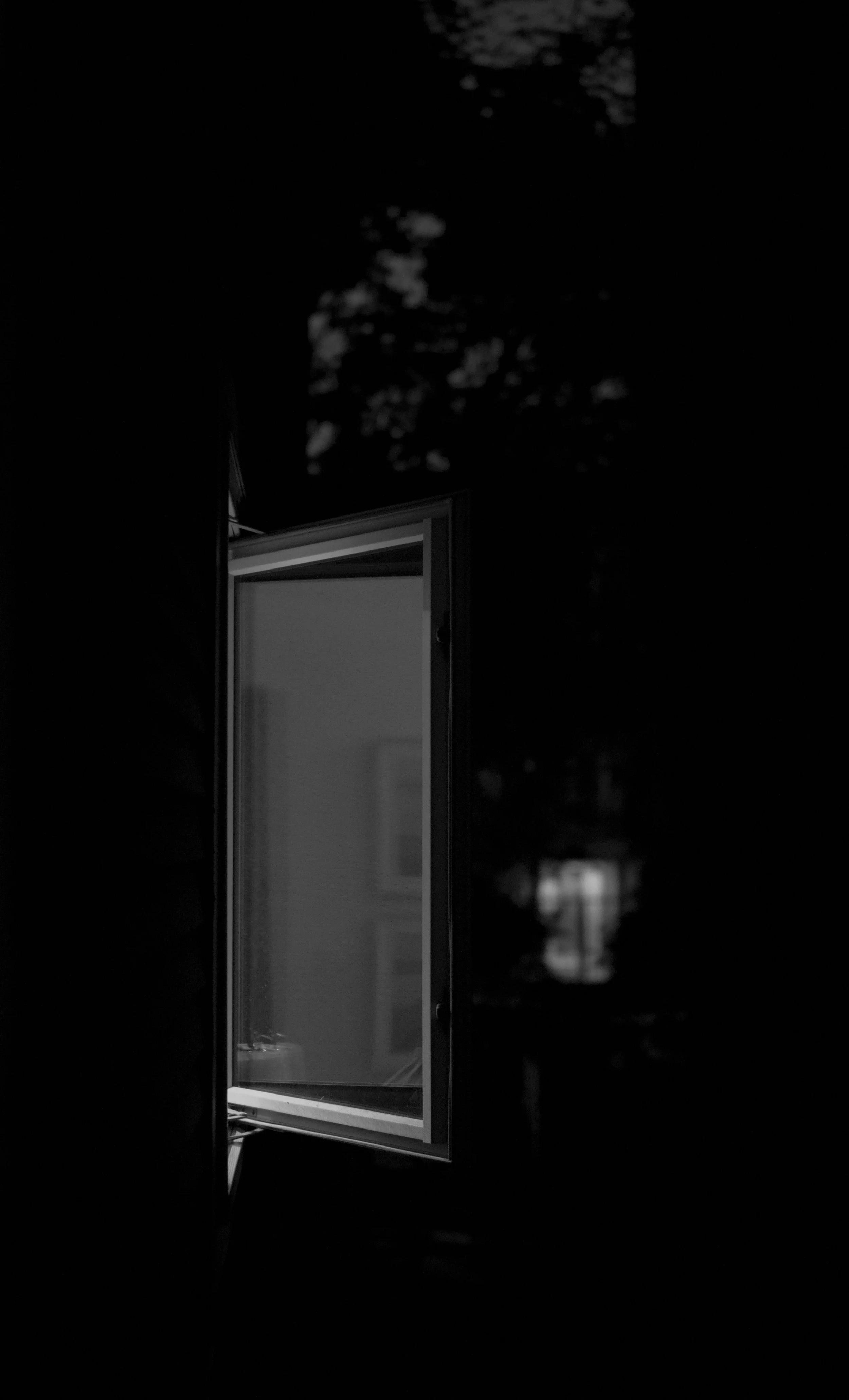 neighbor window-1.jpg