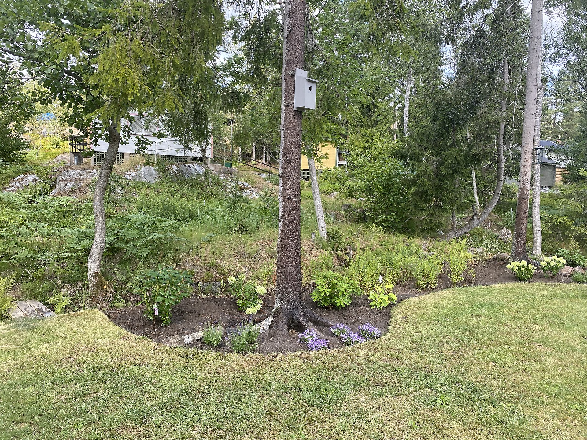 IMG_5746 copy.jpg