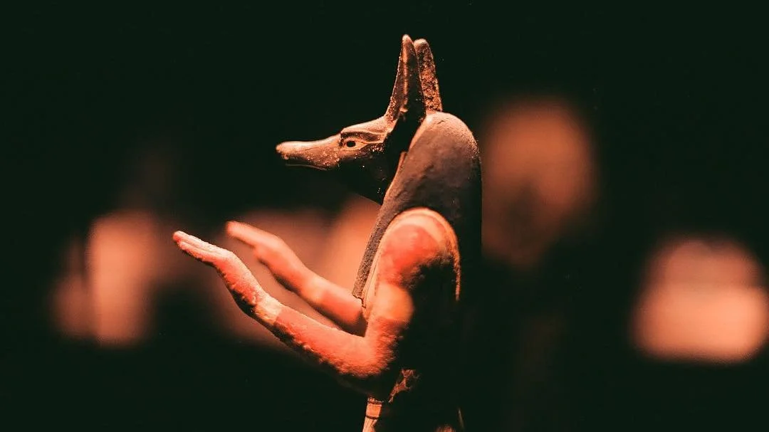 An ancient egyptian figure with a fox head and humanoid body, shown in profile, with outstretched arms, in a dark setting with blurred background figures. Film photography by Jason Corgan Brown. 