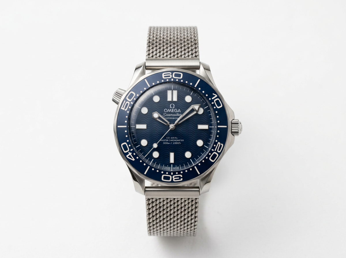 Omega Seamaster Circa 2023