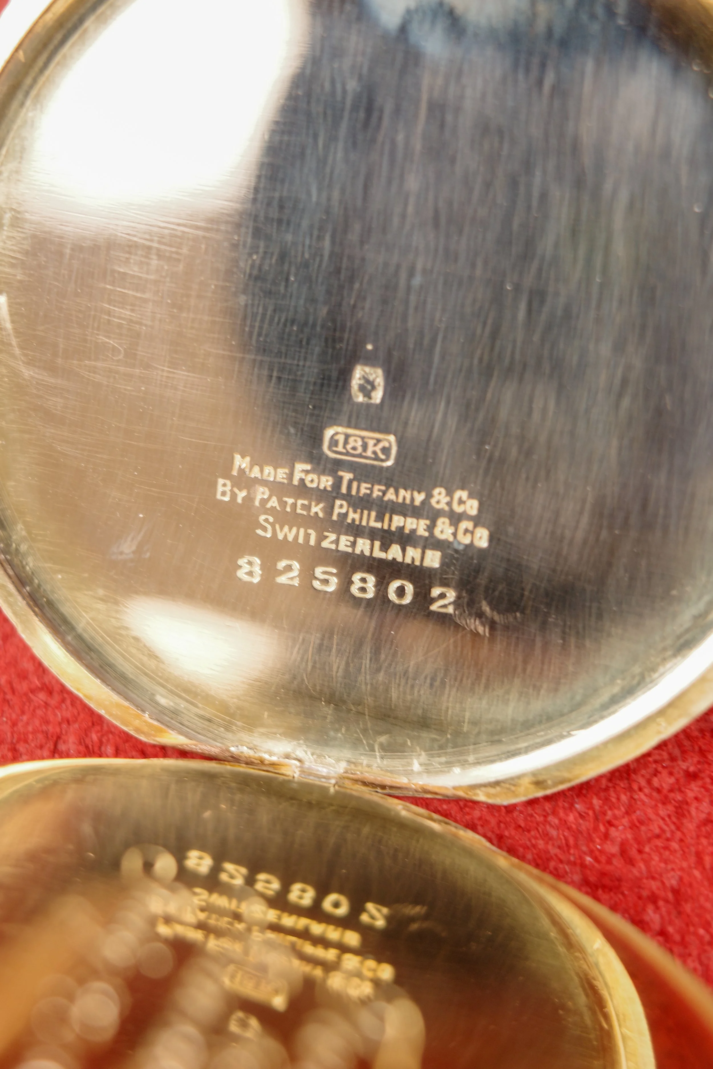 1787349267000_R0001105.JPG