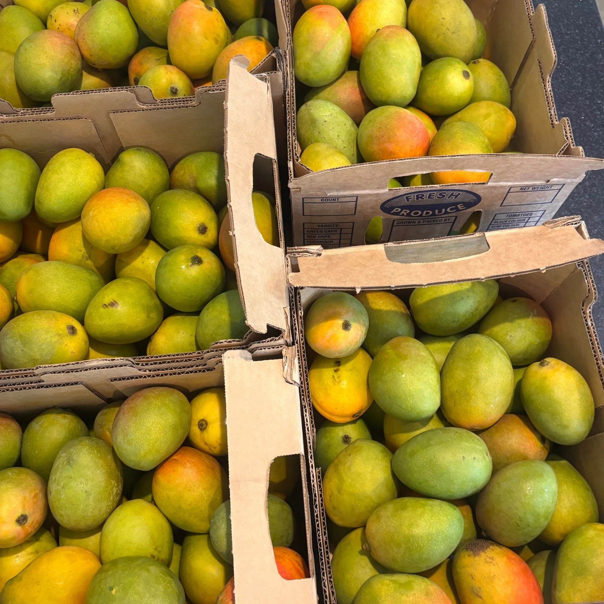 Carnarvon Mangos for Variety Mango Gin by Beyond Distilling.jpg