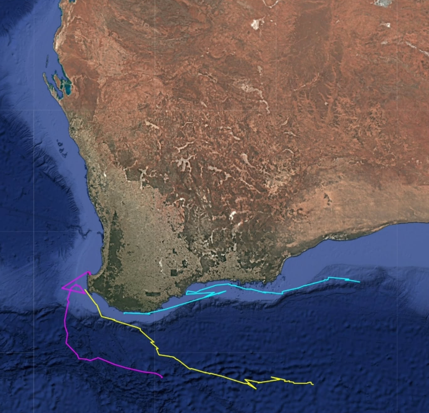 Screenshot 2025-05-20 094829.png
