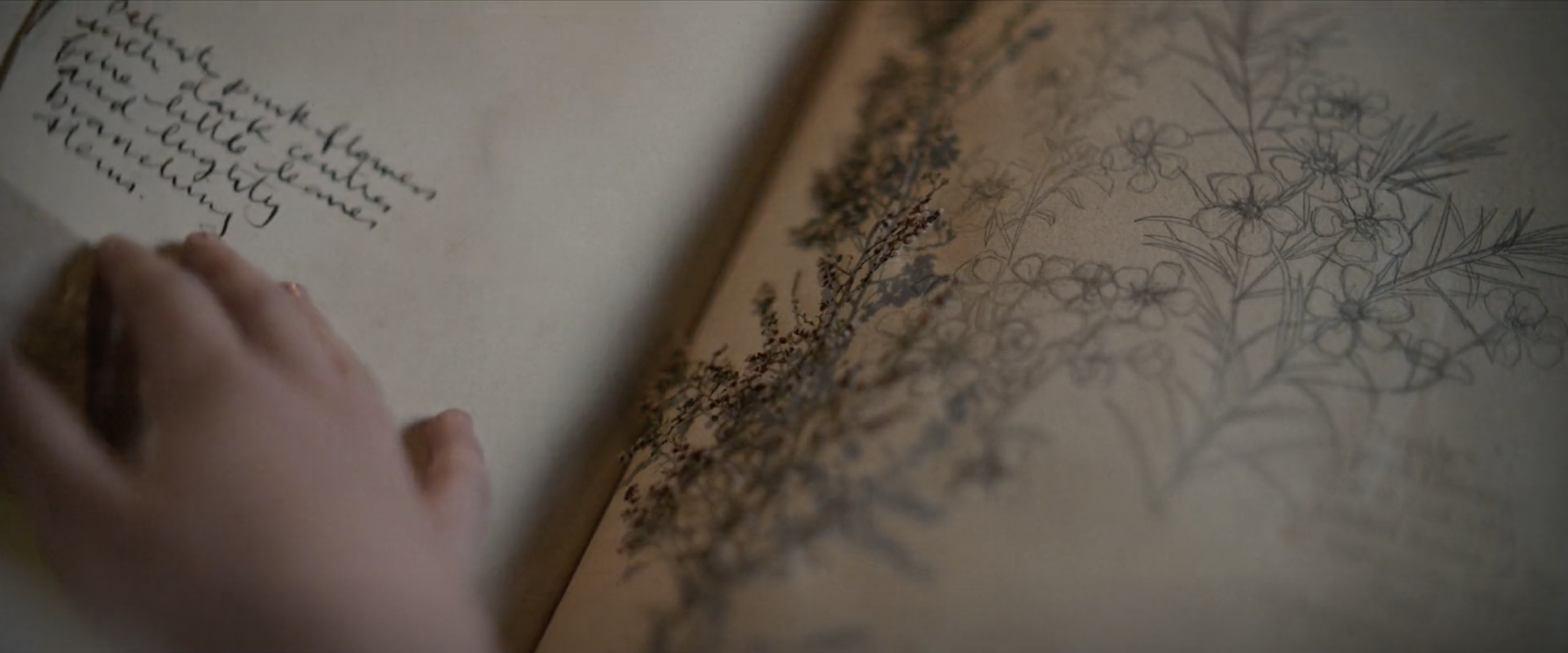 Screen Shot 2023-12-04 at 3.12.01 pm.png