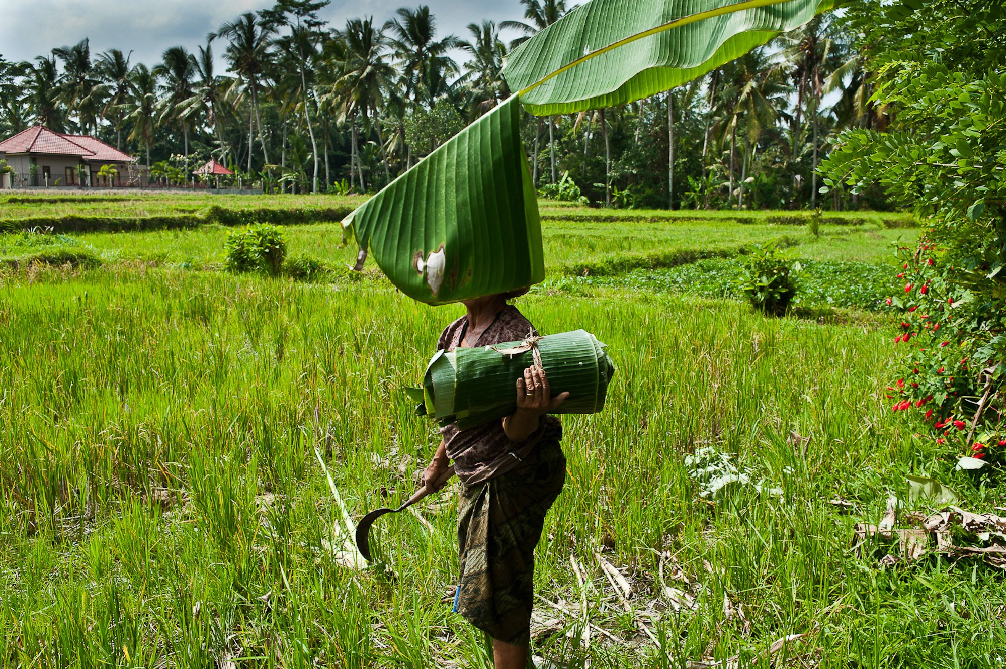 Bali is NOT for Sale_Page_10.jpg