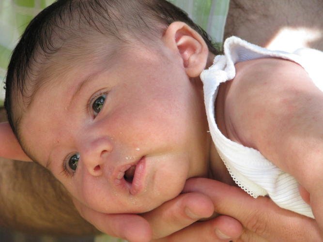 The Voice and the Path – Daniel is My Whisper.