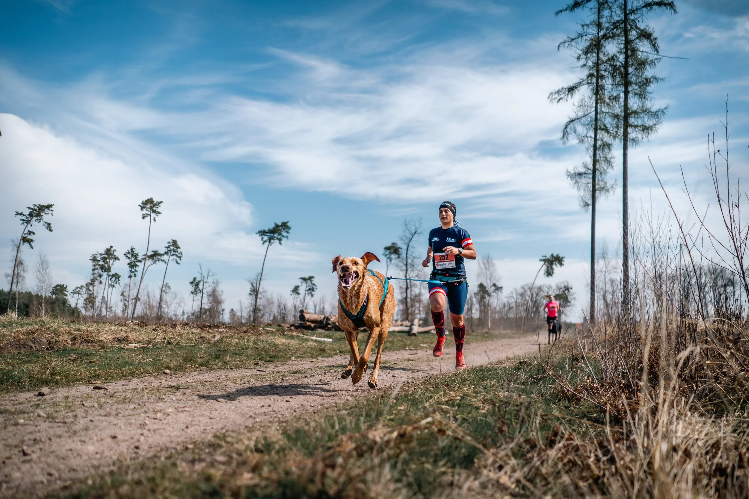 Dogsworld: Canicross für Einsteiger