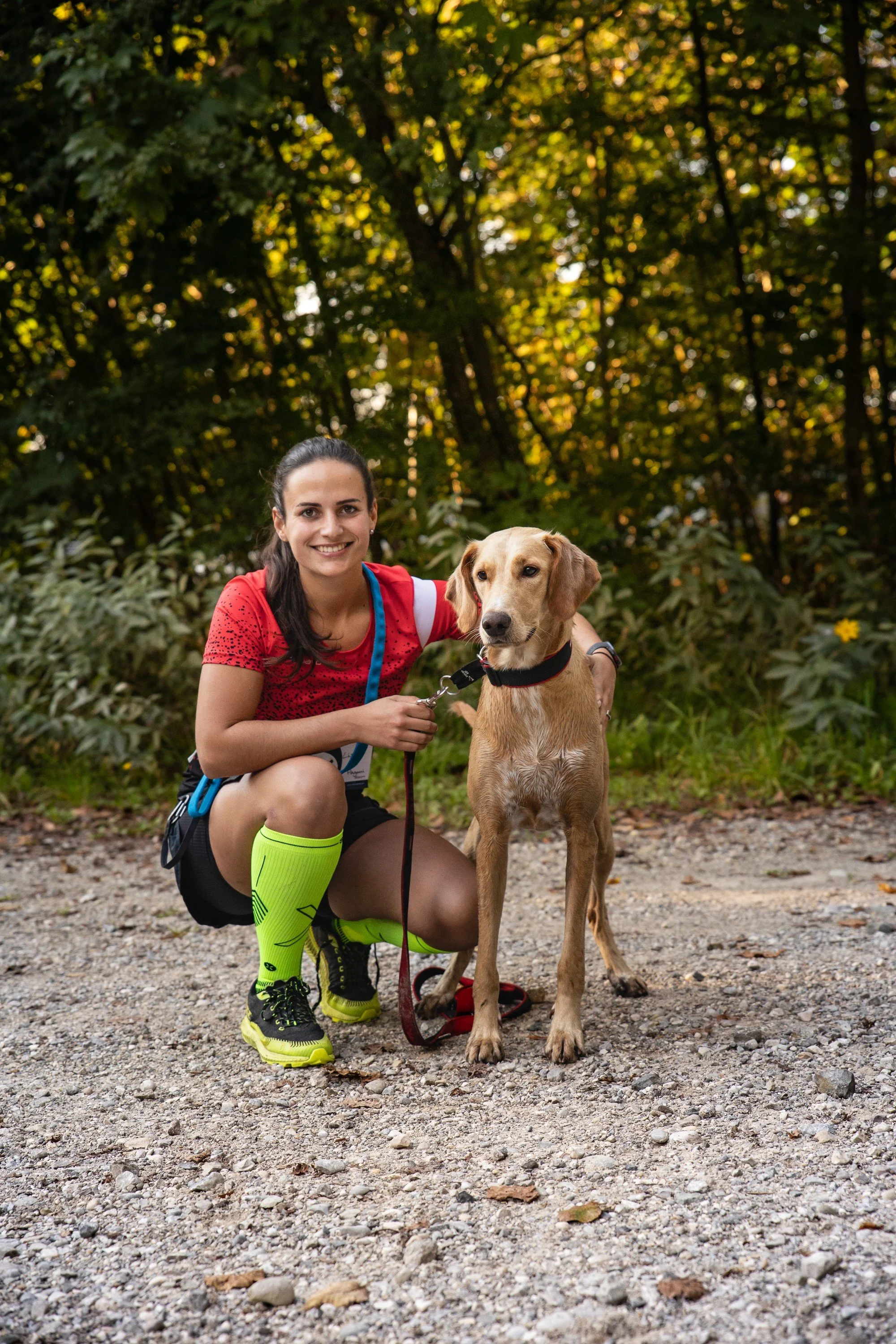 Dogsworld: Canicross für Einsteiger