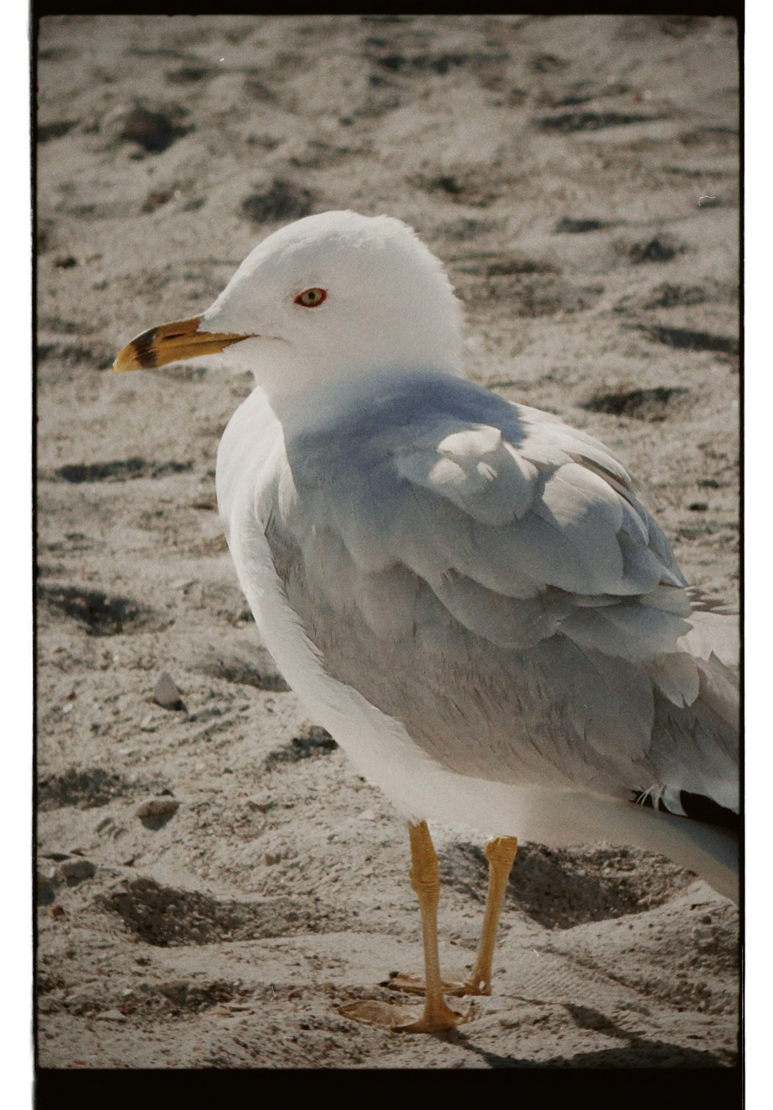 dblack 2025-03-13 114542.943.JPG