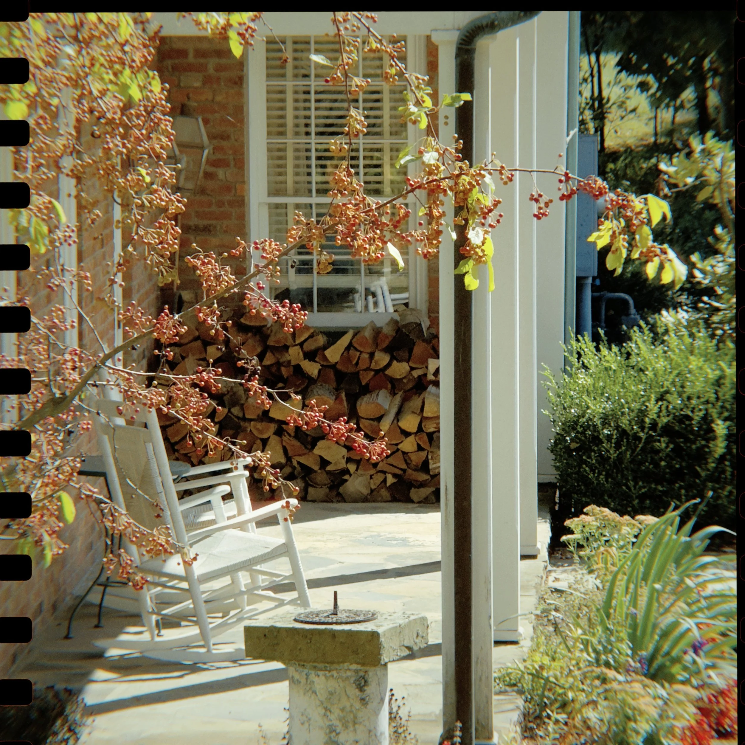 kv88 2024-09-22 150441.724.JPG