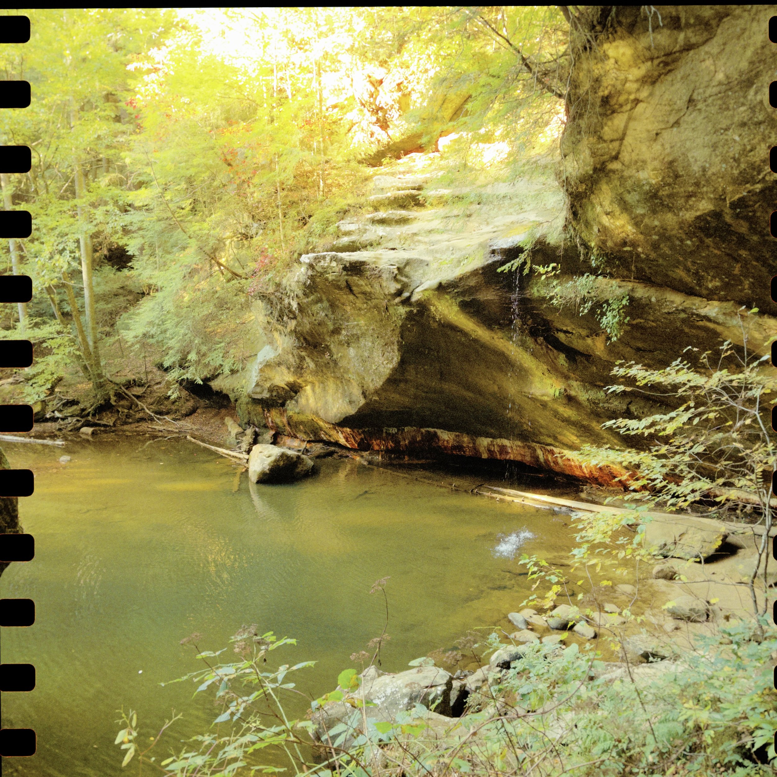 kv88 2024-10-18 164521.328.JPG