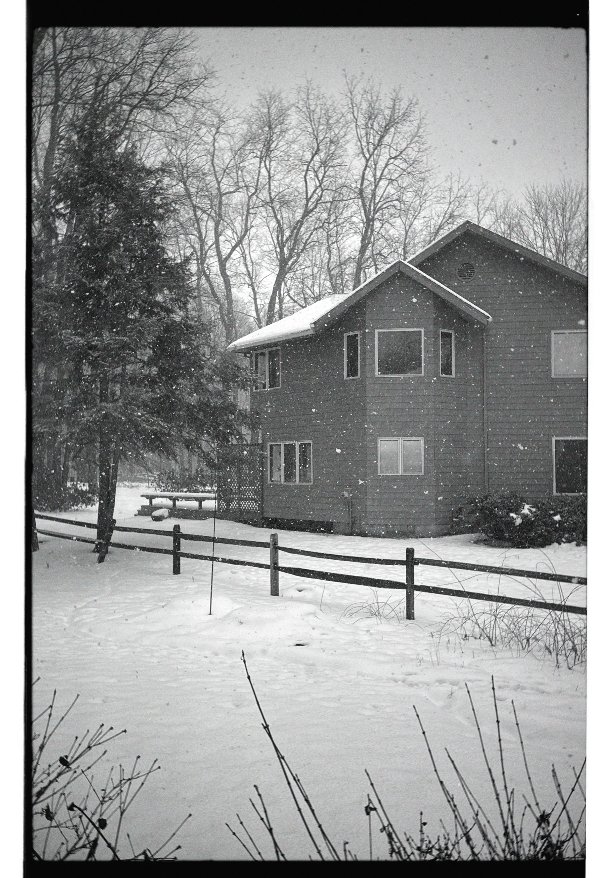 dblack 2025-01-19 135538.904.JPG