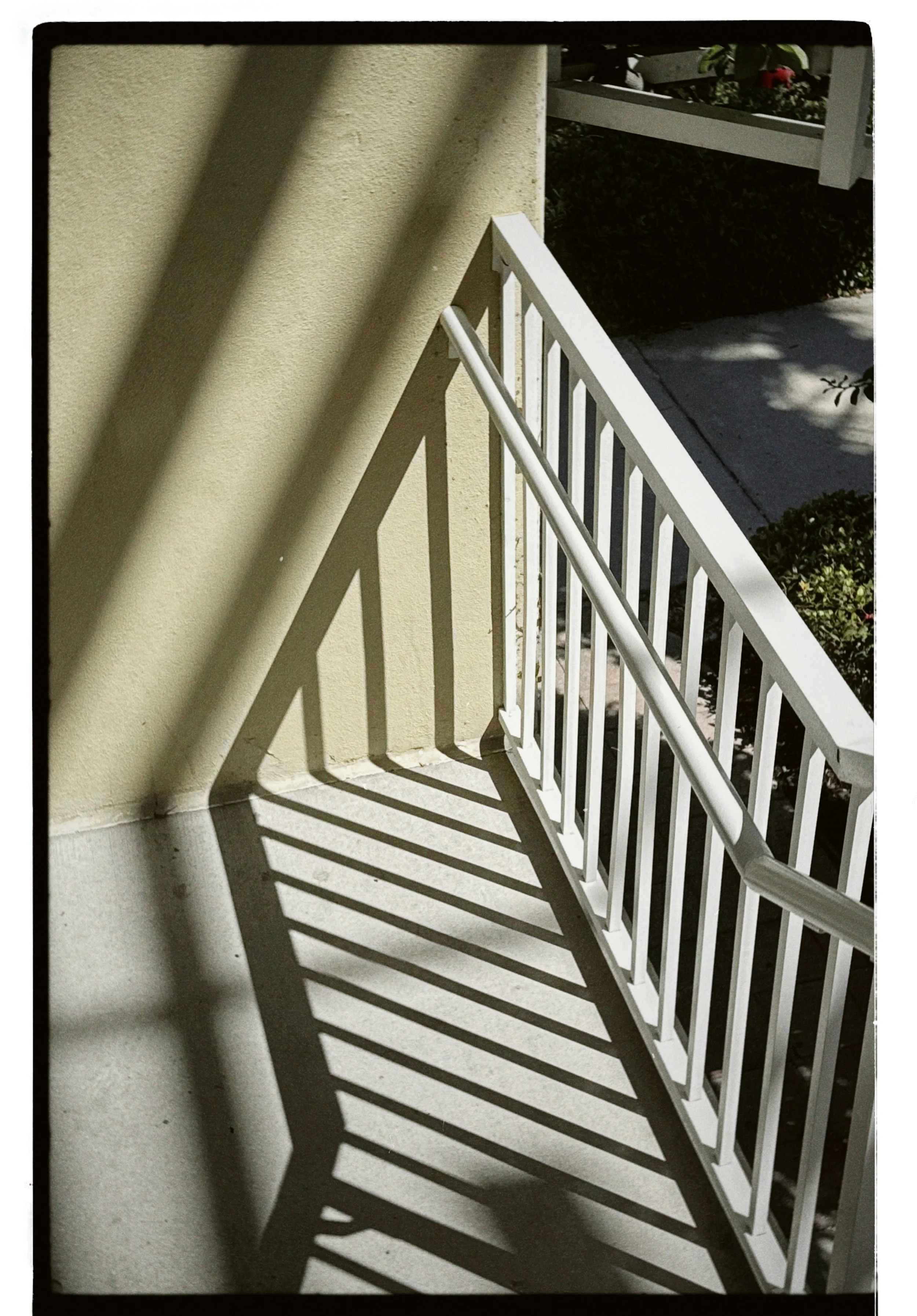 dblack 2025-03-11 145735.430.JPG