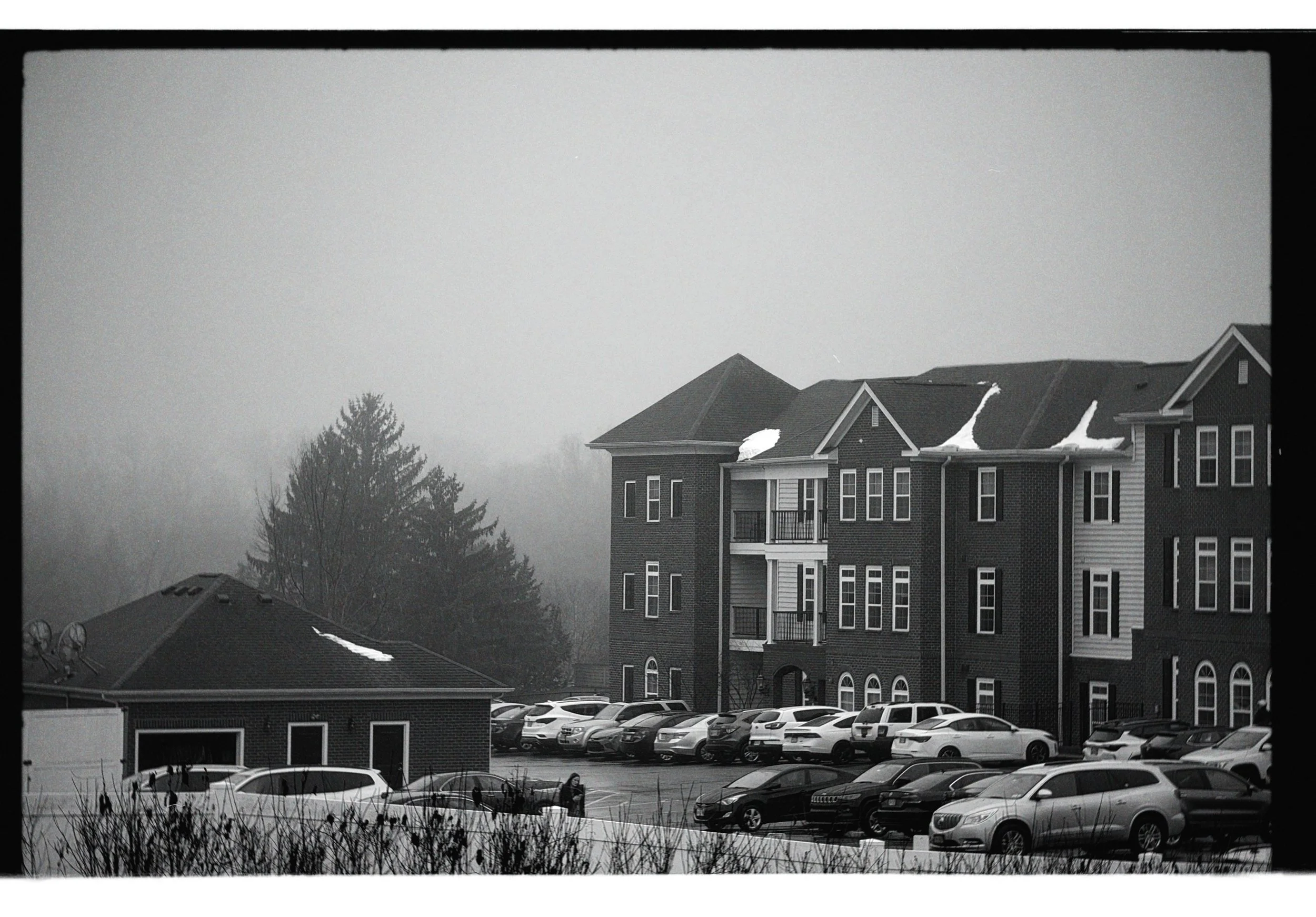 dblack 2025-01-31 155515.287.JPG