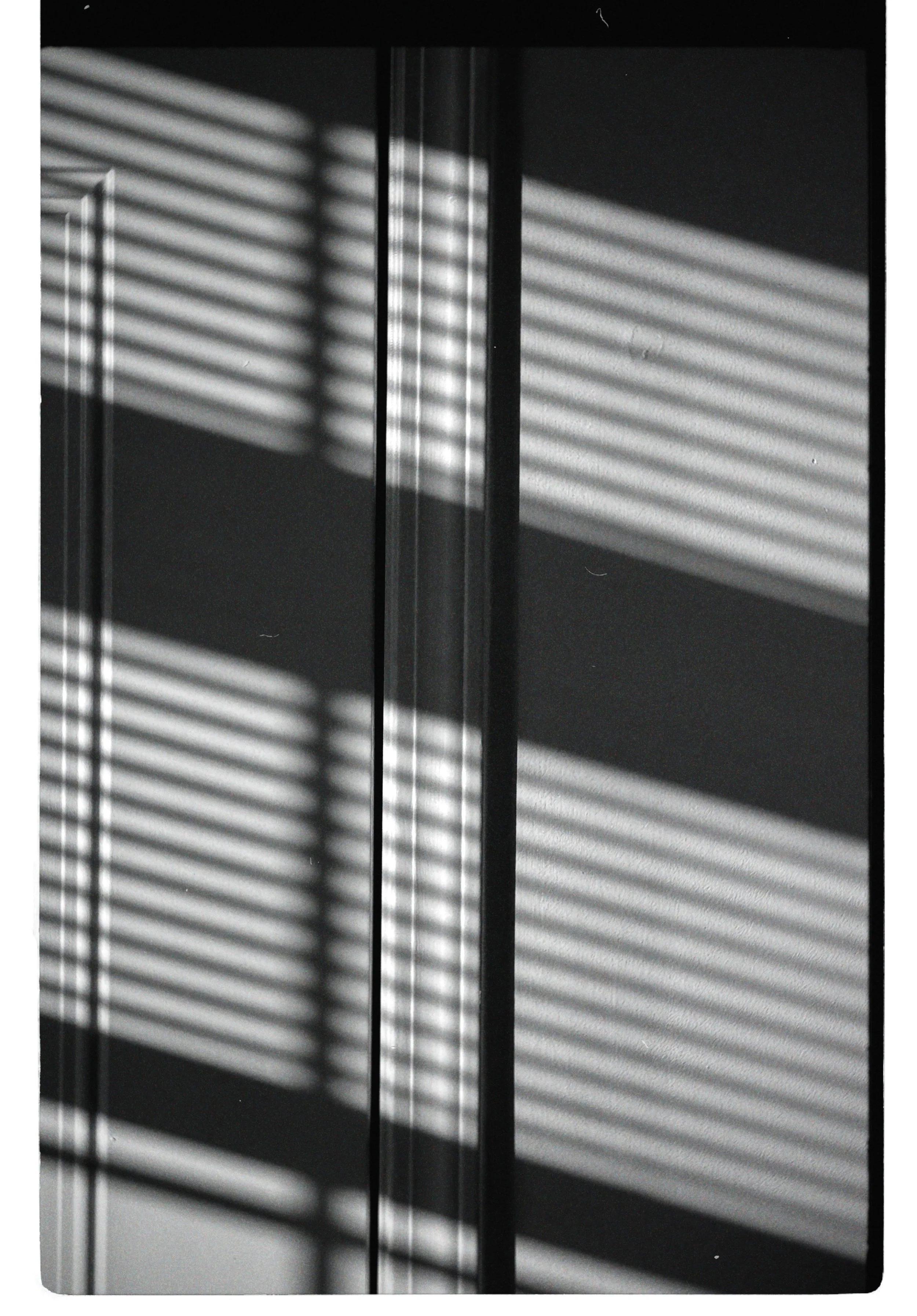 dblack 2025-02-07 164024.261.JPG