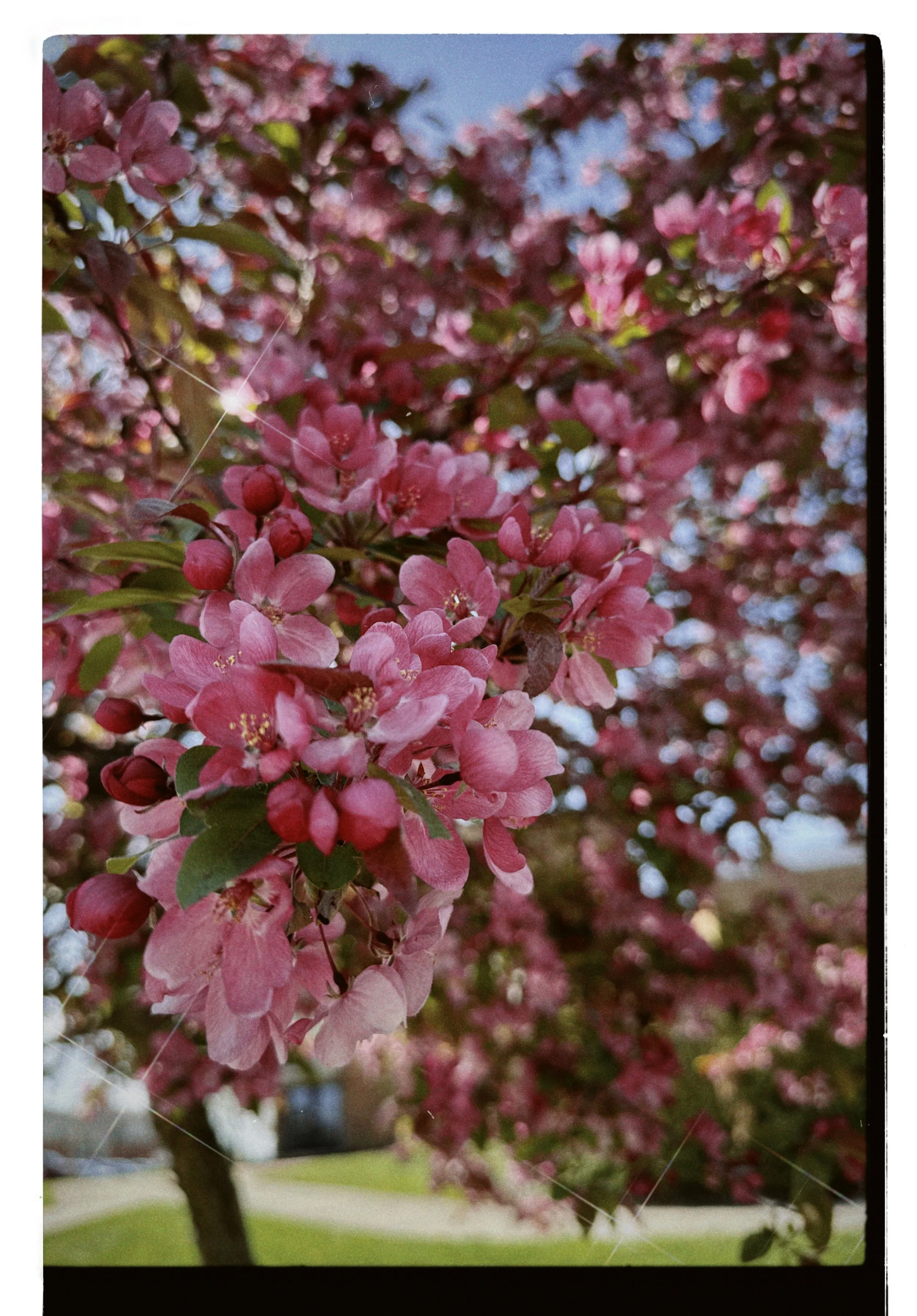 dblack 2025-04-24 100548.688.JPG