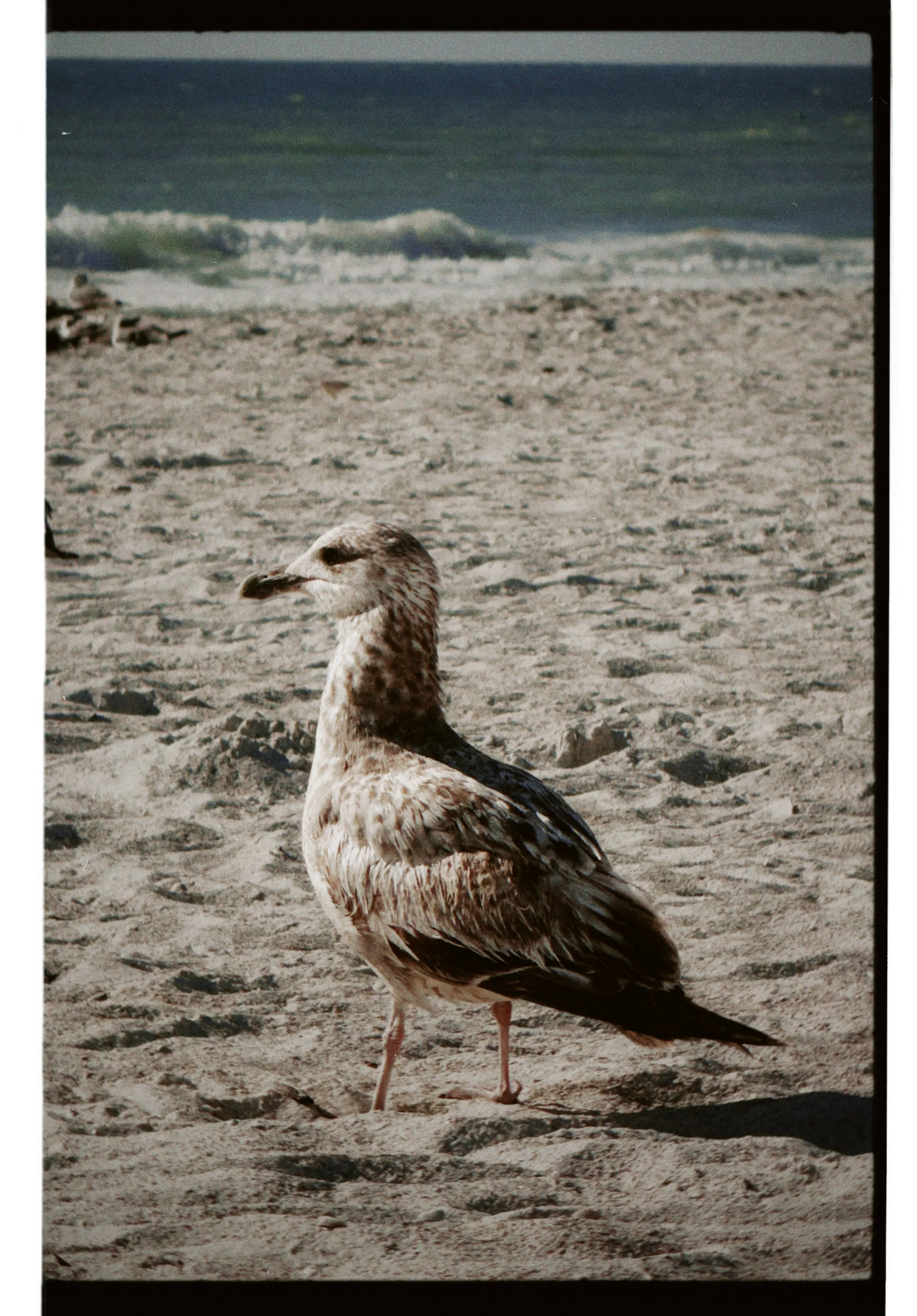 dblack 2025-03-13 114542.547.JPG