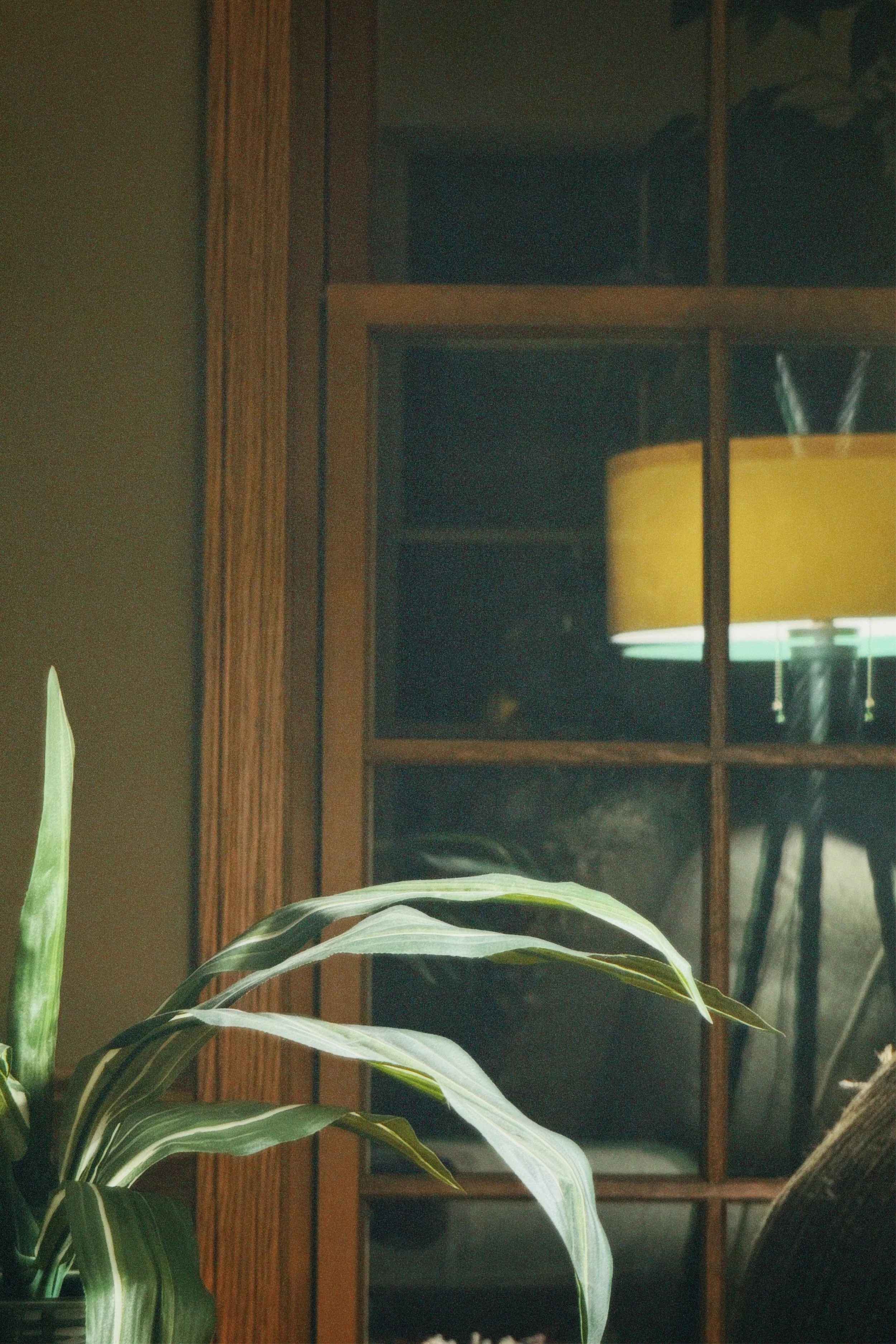 cpm35 2024-10-05 211911.218.JPG