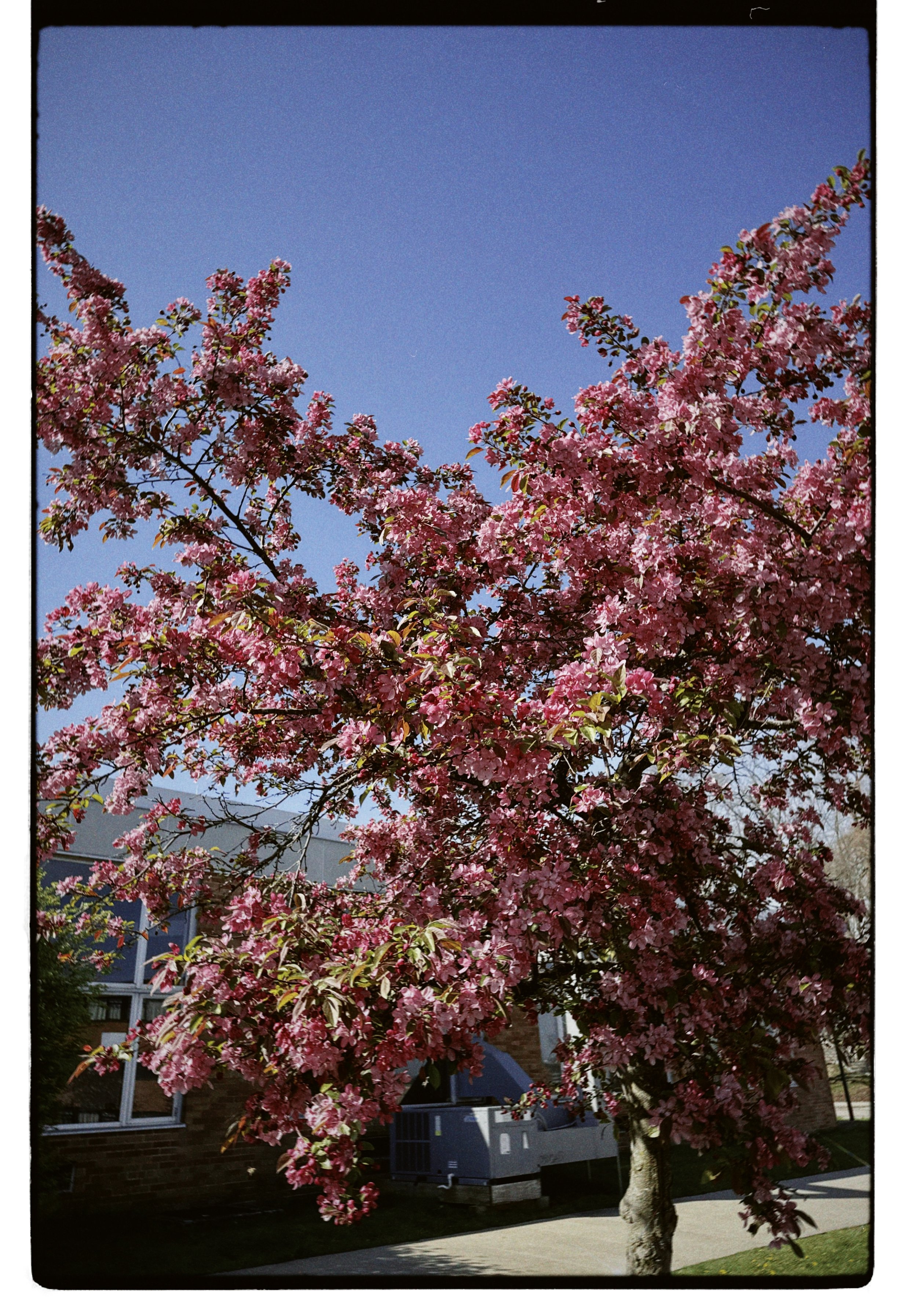 dblack 2025-04-24 100602.107.JPG